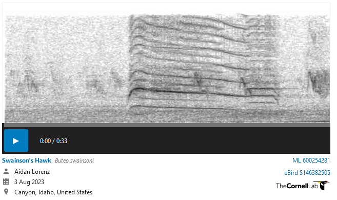 Spectograph of a Swainson's Hawk call.
